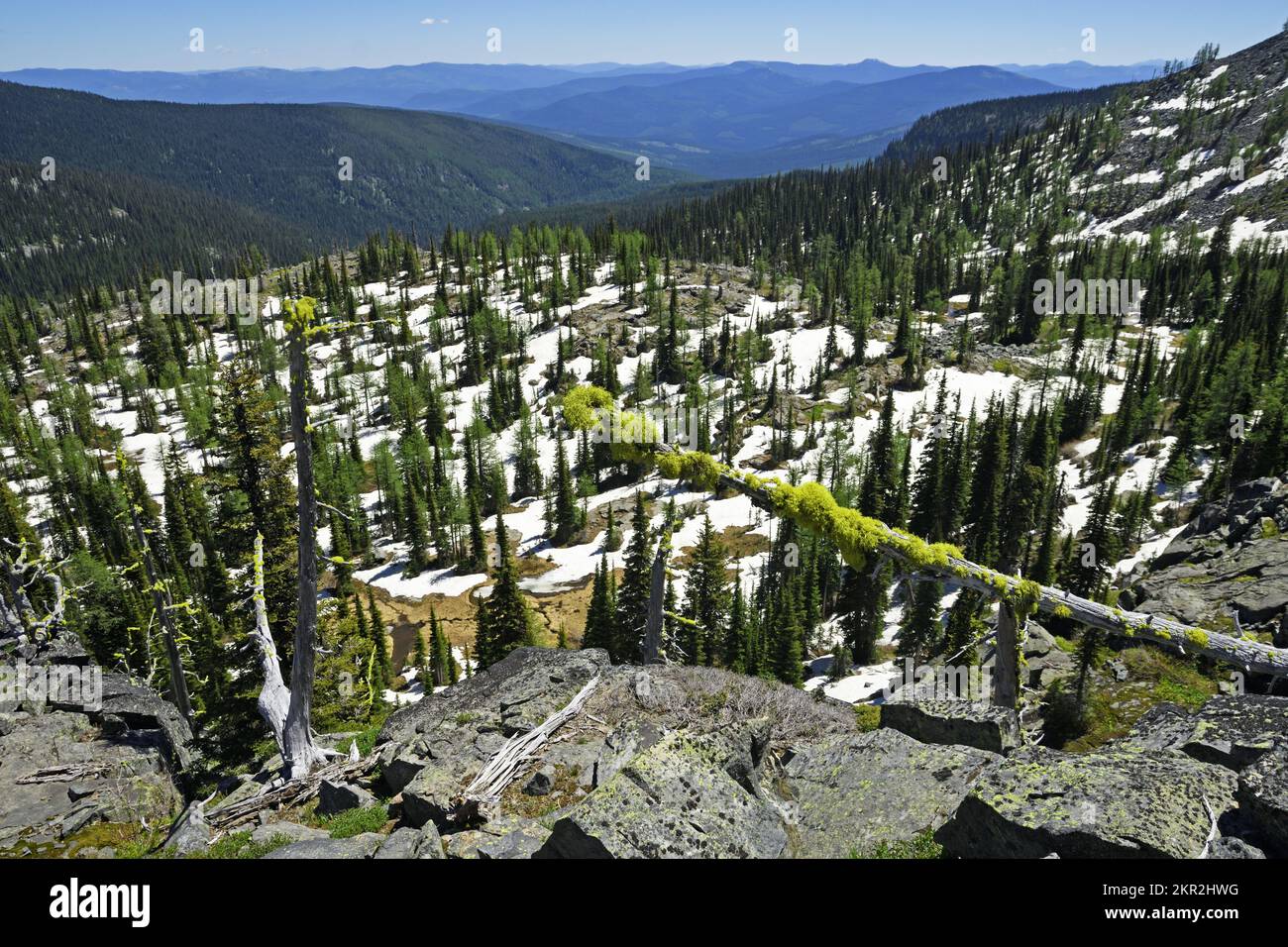 Purcell Mountains along the Pacific - Purcell Mountains Along The Pacific Northwest National Scenic Trail In Summer Kootenai National Forest Northwest Montana Photo By Randy Beacham 2KR2HWG 