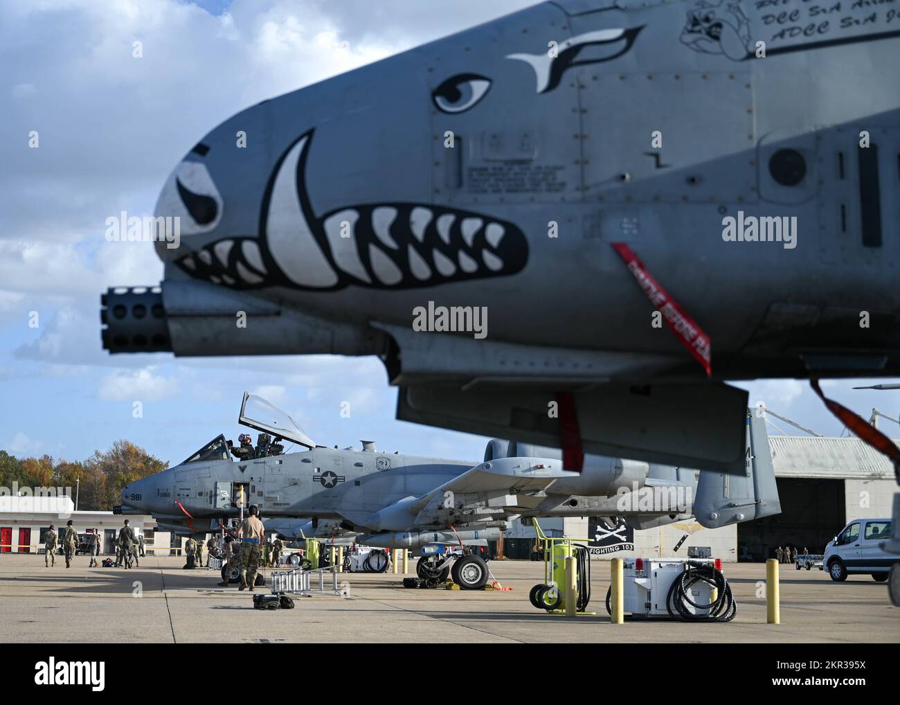A-10 Thunderbolt IIs from the 354th Fighter Squadron at Davis-Monthan Air Force Base sit on the flightline at Naval Air Station Oceana, Virginia, during Bushwhacker 22-07, Nov. 3, 2022. This operational training was a part of the Lead Wing certification process and allowed DM to prepare for the final certification exercise projected to take place in 2023. (U.S. Air Force photo by Airman 1st Class Paige Weldon) Stock Photo