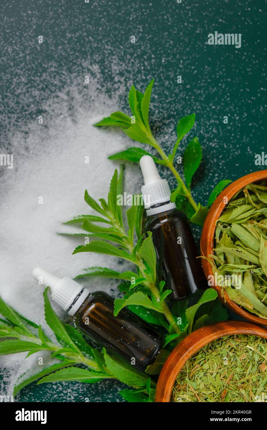 vegan food sweetener. Stevia rebaudiana.Dry stevia, powder and liquid