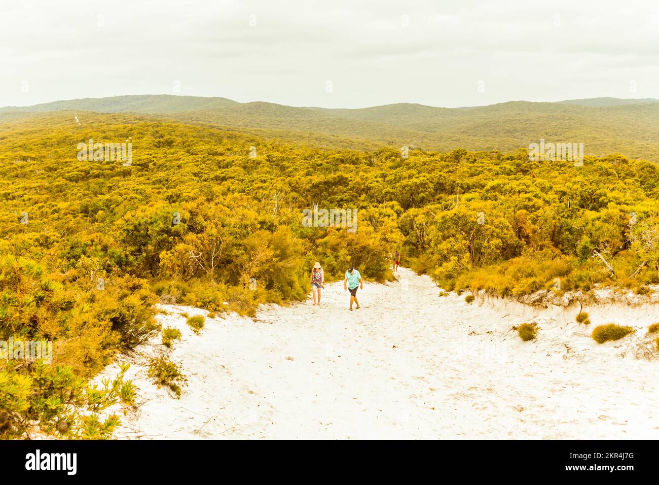 Australian travellers hiking up a sand dune surrounded by tropical ...