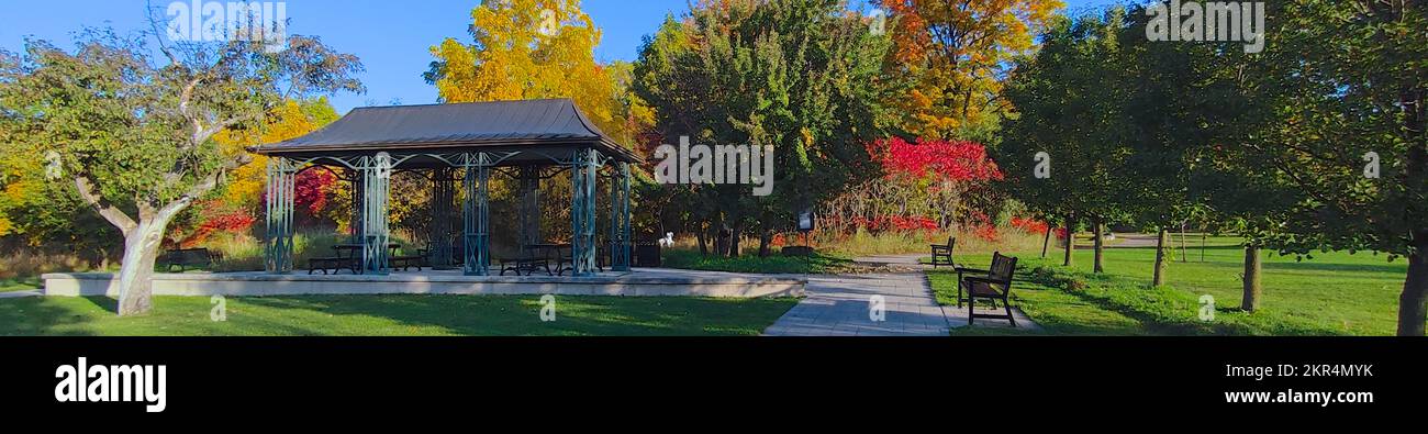 Panoramic view of autumn leaf colour in the park Stock Photo