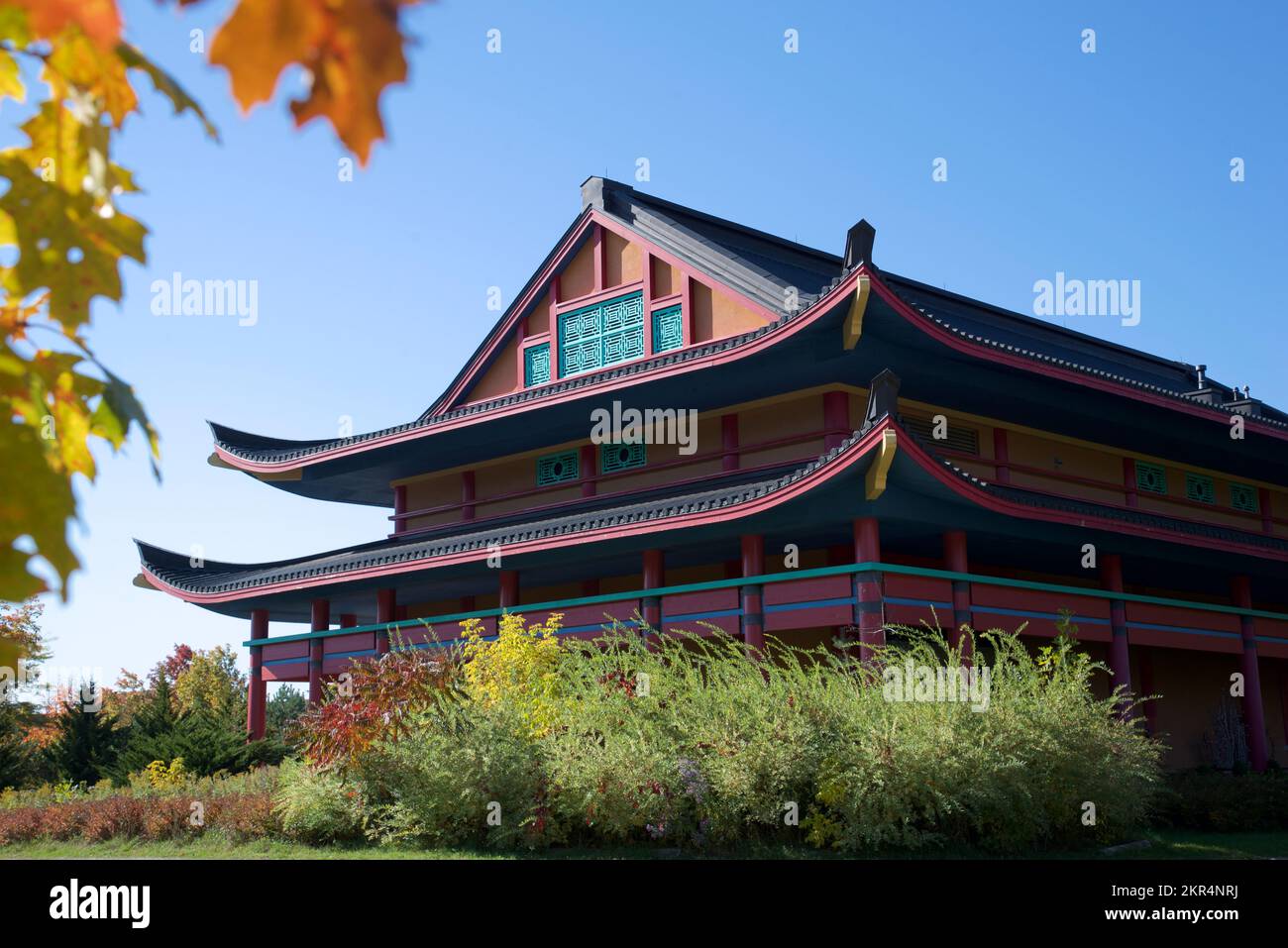Exterior of the buddha temple with autumn leaf colour Stock Photo