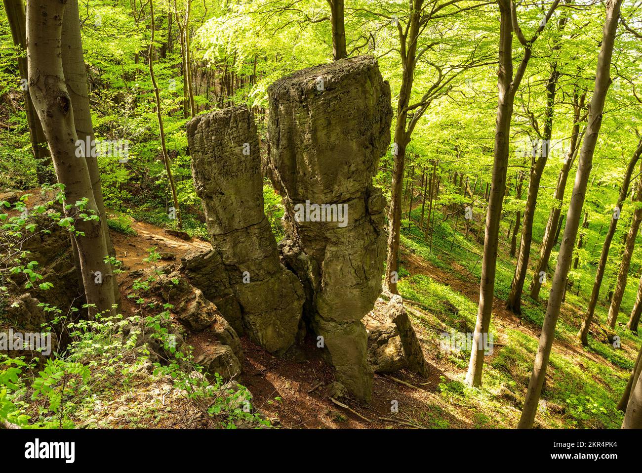 Elevated view of the distinctive limestone rock formation 'Adam & Eva' at the 'Ith-Hils-Weg' hiking trail, Ith, Weserbergland, Germany Stock Photo