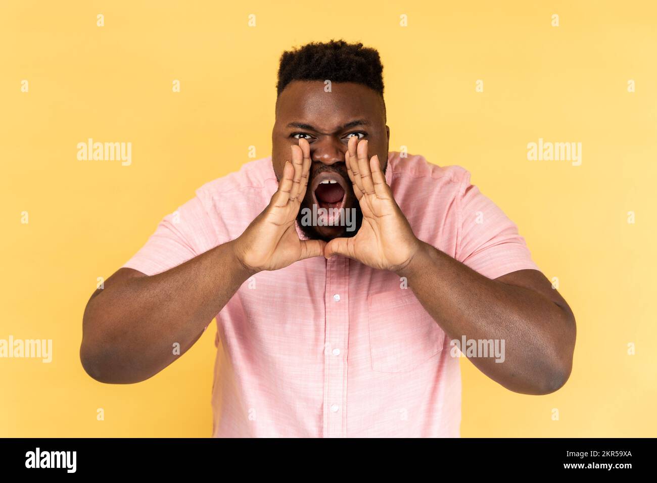Portrait of angry aggressive man wearing pink shirt standing, holding arms near wide open mouth and screaming, trying to get attention. Indoor studio shot isolated on yellow background. Stock Photo