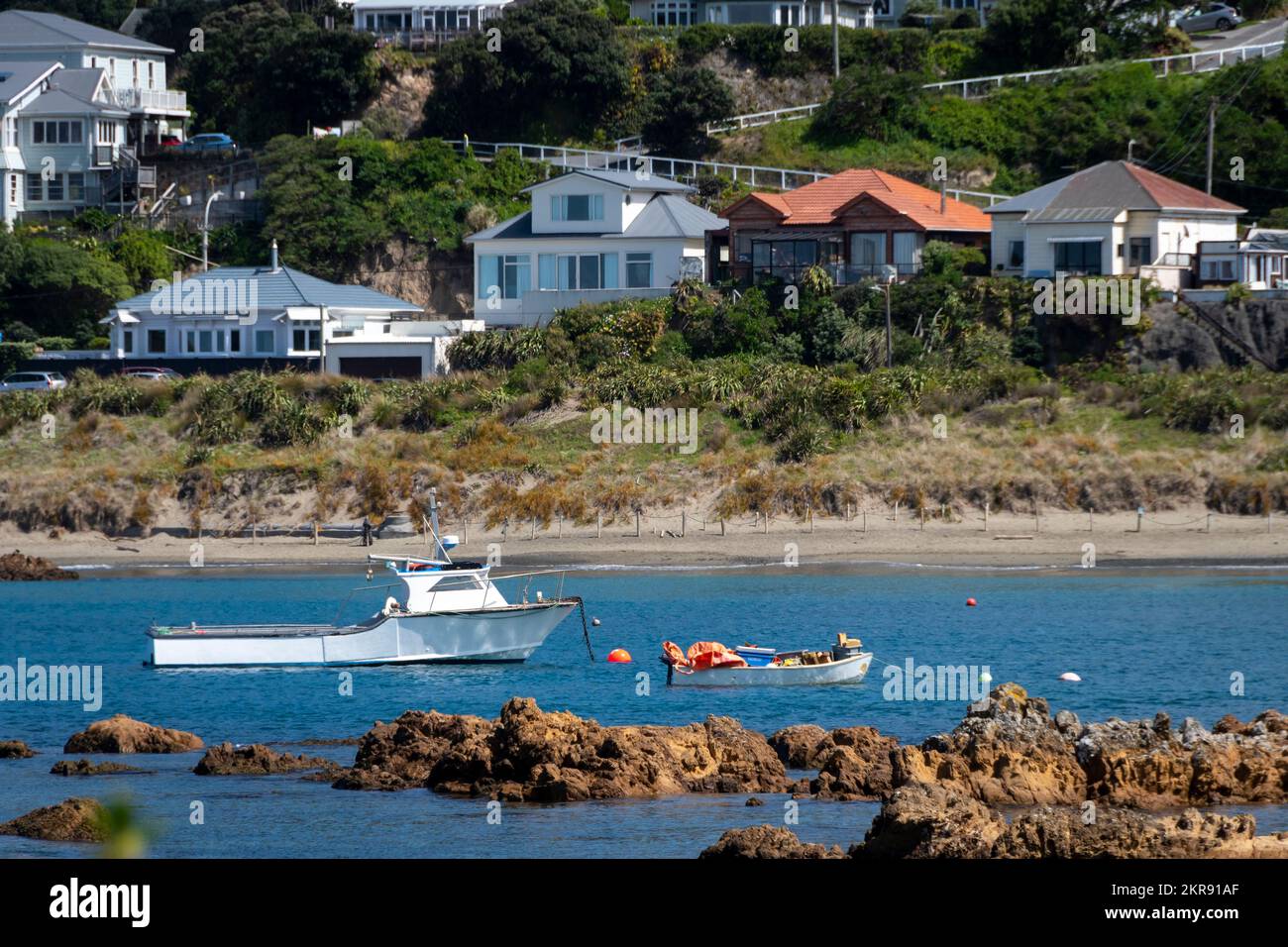 Fishing boats moored in Island Bay, Wellington, North island, New