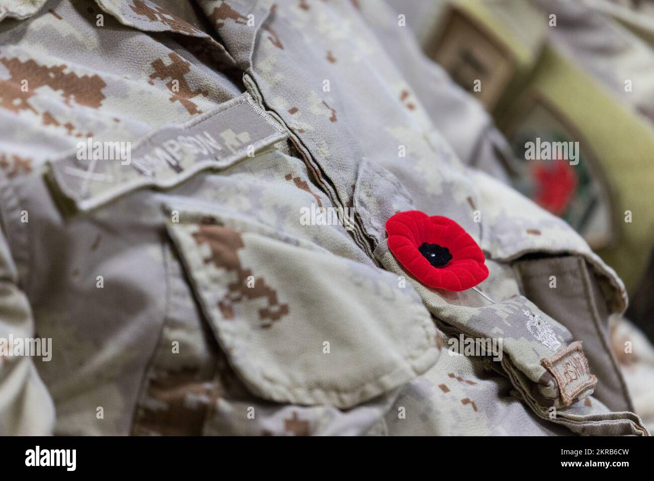 A Canadian Army soldier, from Lord Strathcona's Horse [Royal Canadians
