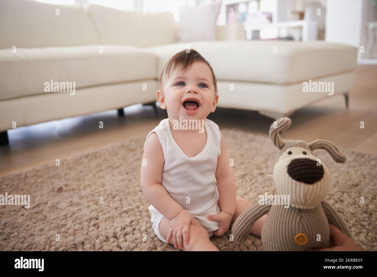 Come have some fun with me. a baby boy sitting on the carpet at home ...