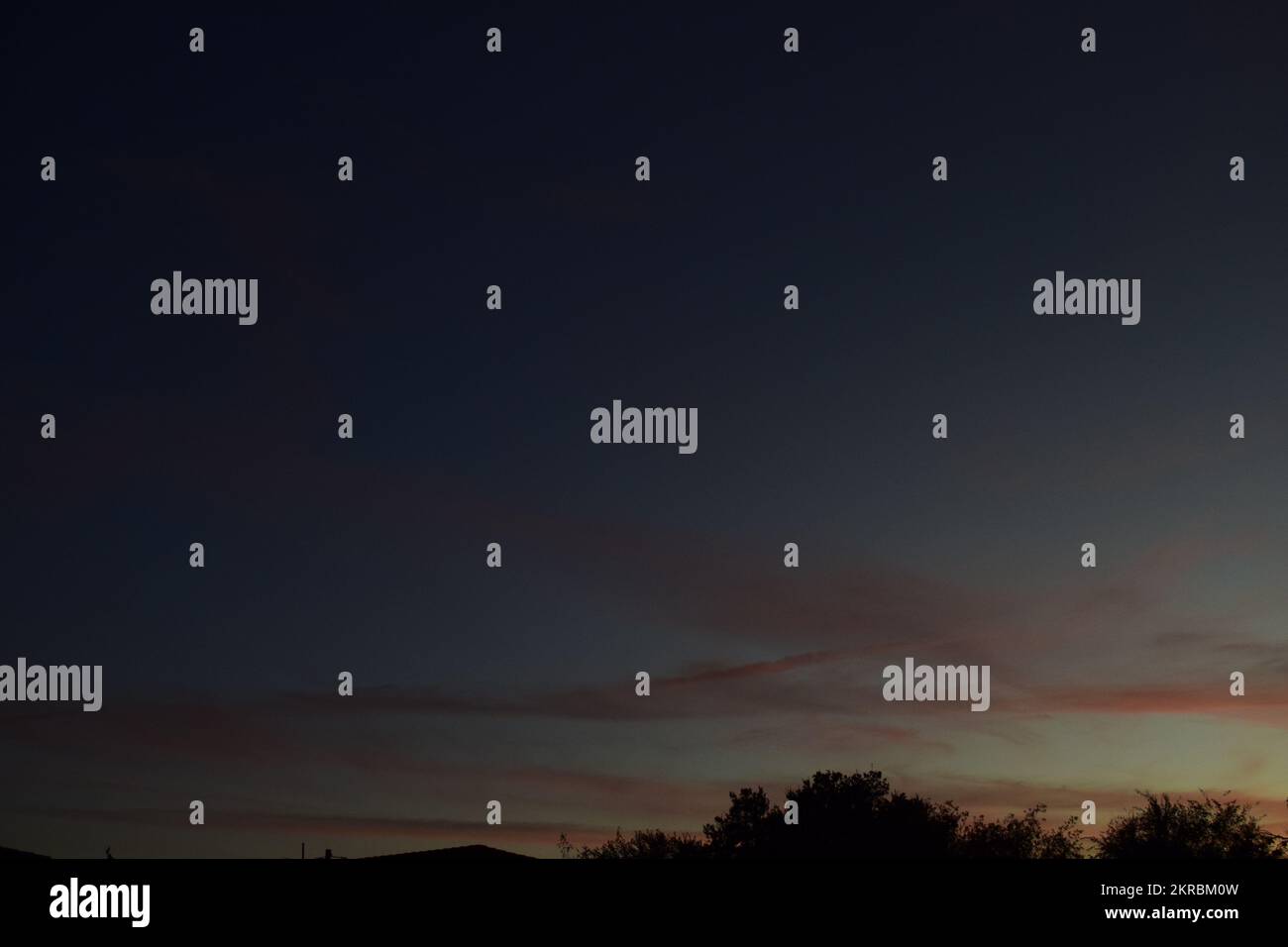 beautiful gradient sunset with trees Stock Photo - Alamy