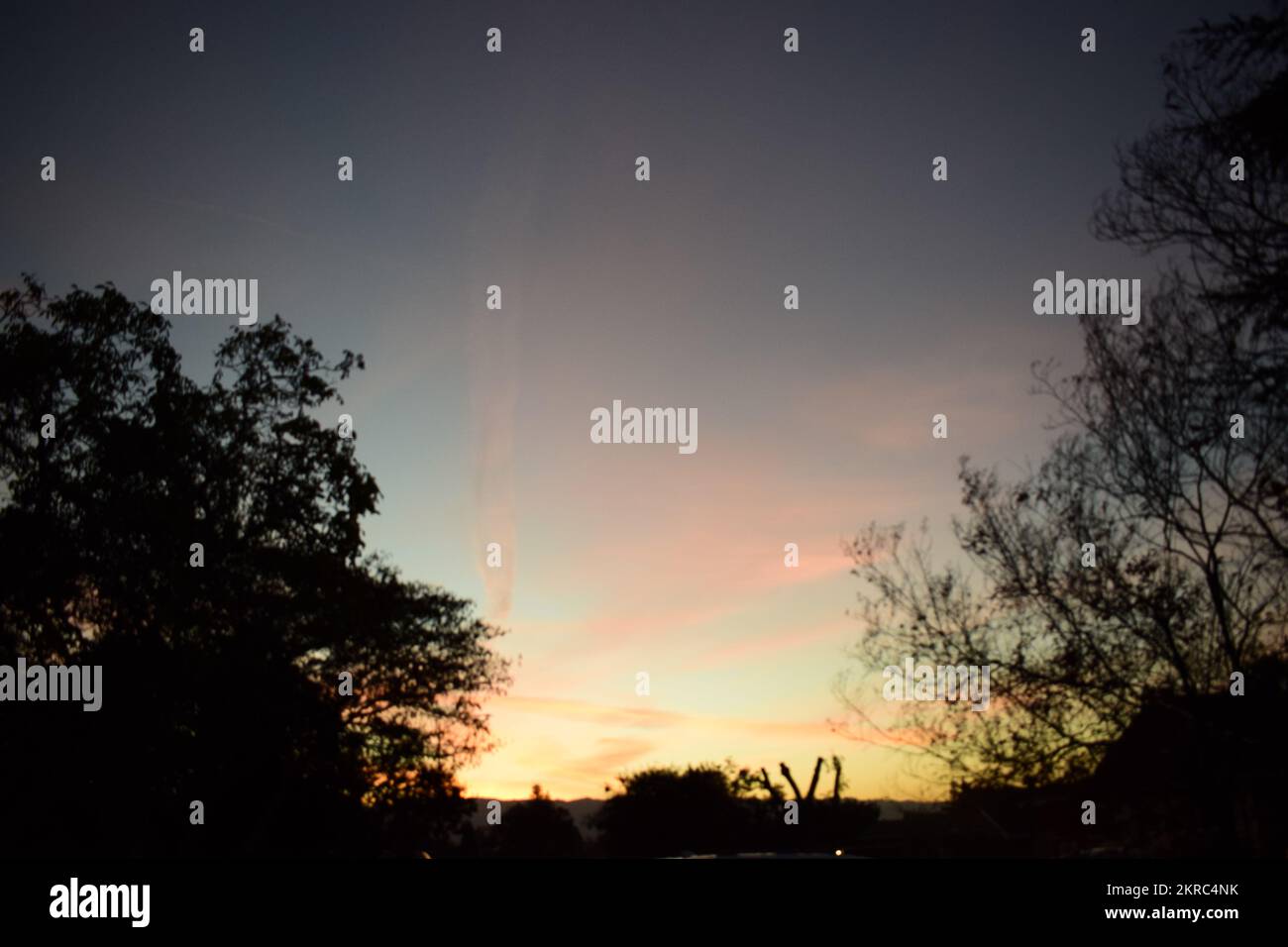 beautiful gradient sunset with trees Stock Photo - Alamy