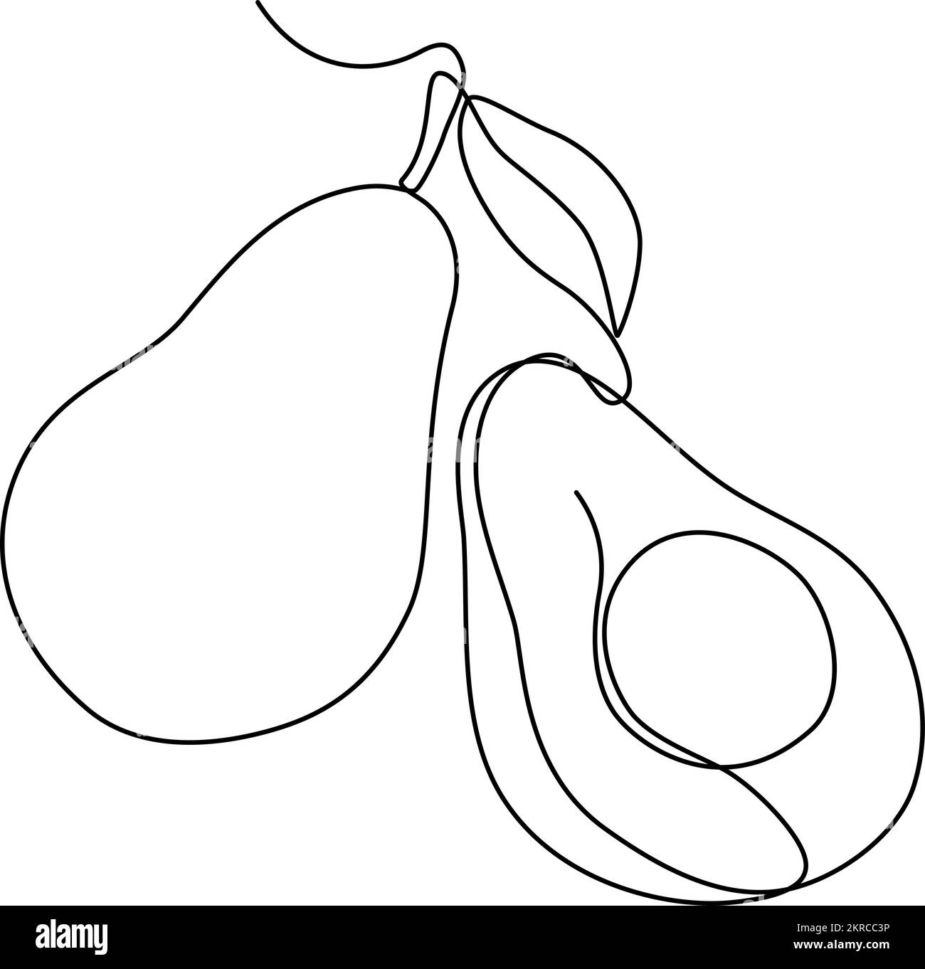 Two avocados with leaf continuous line drawing vector illustration