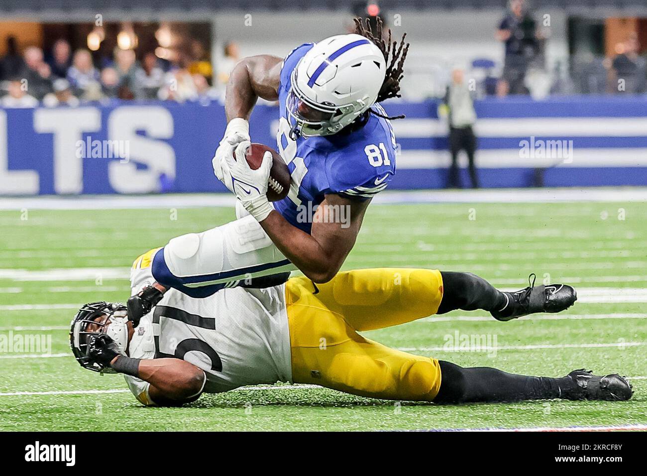 Myles jack hi-res stock photography and images - Alamy