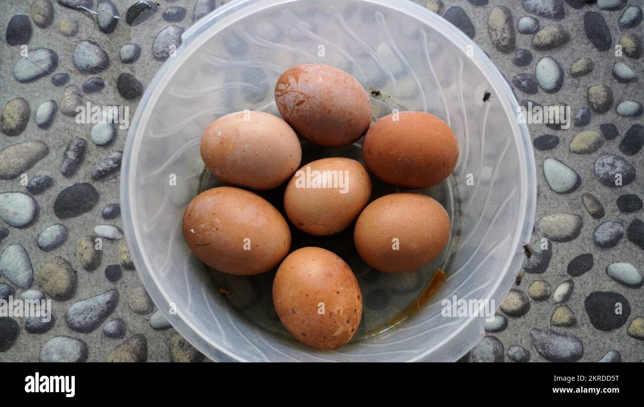 Close up rotten chicken egg unhealthy food cause infectious disease