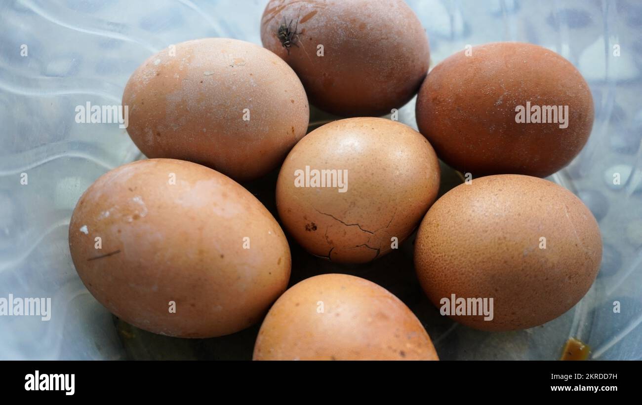 Close up rotten chicken egg unhealthy food cause infectious disease Stock Photo Alamy