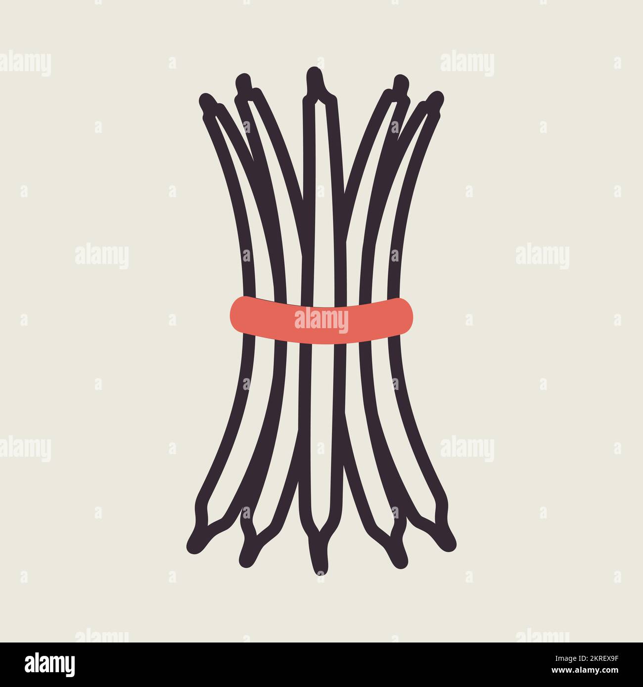Green beans bound sheaf isolated vector icon. Vegetable sign. Graph ...