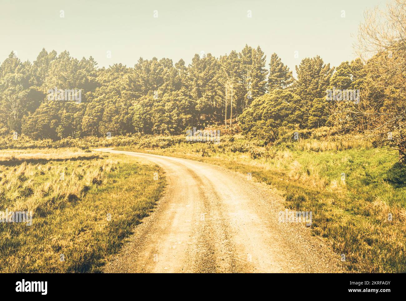 Green summer landscape with country road in sunlight. Zeehan, Tasmania ...