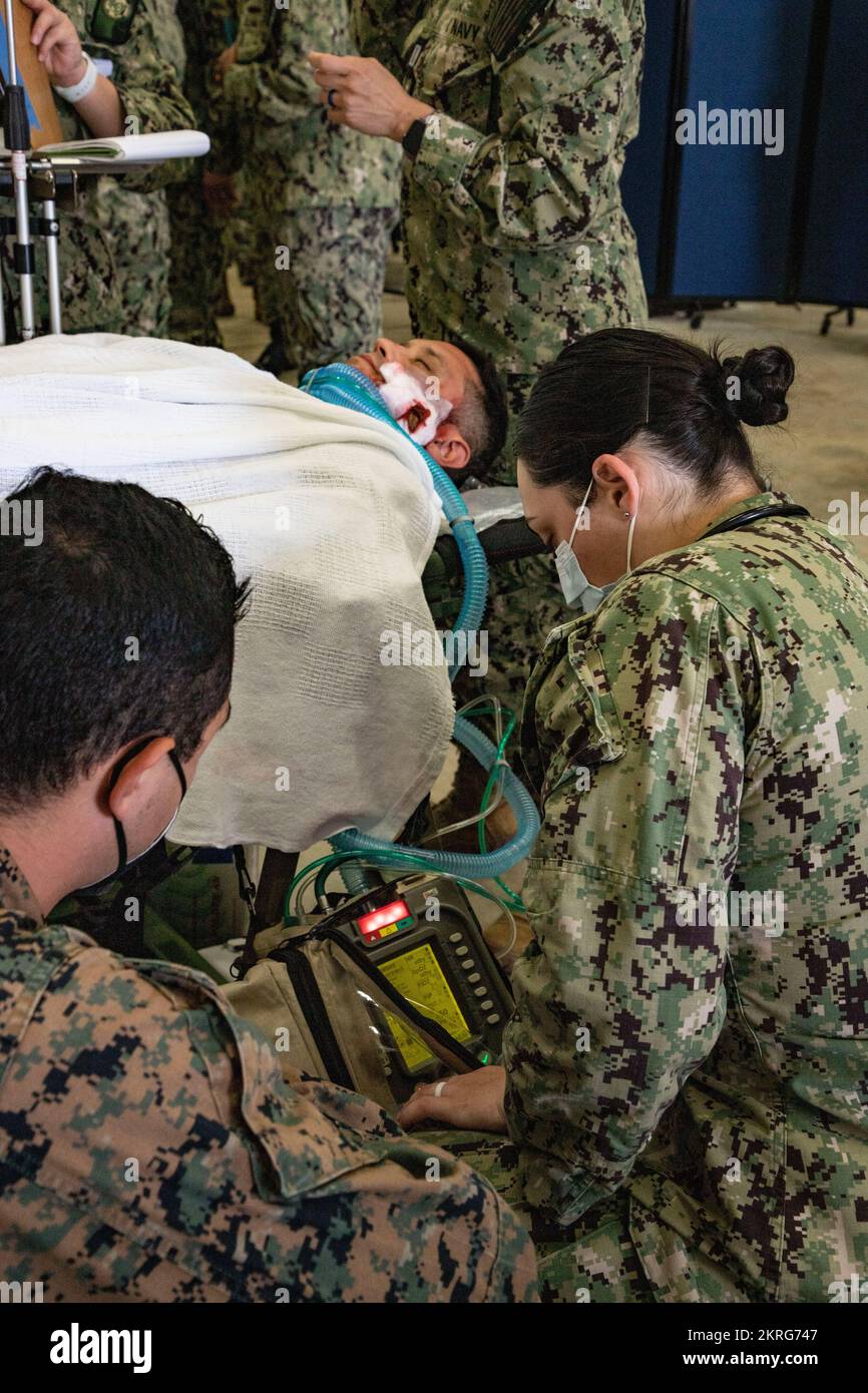 Kingsword23 hires stock photography and images Alamy