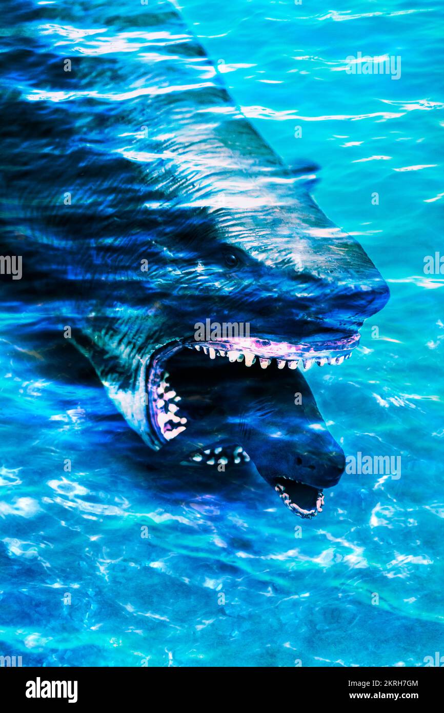 Gripping underwater scene of feeding fear with tropical shark eating shark. Shark bite Stock Photo
