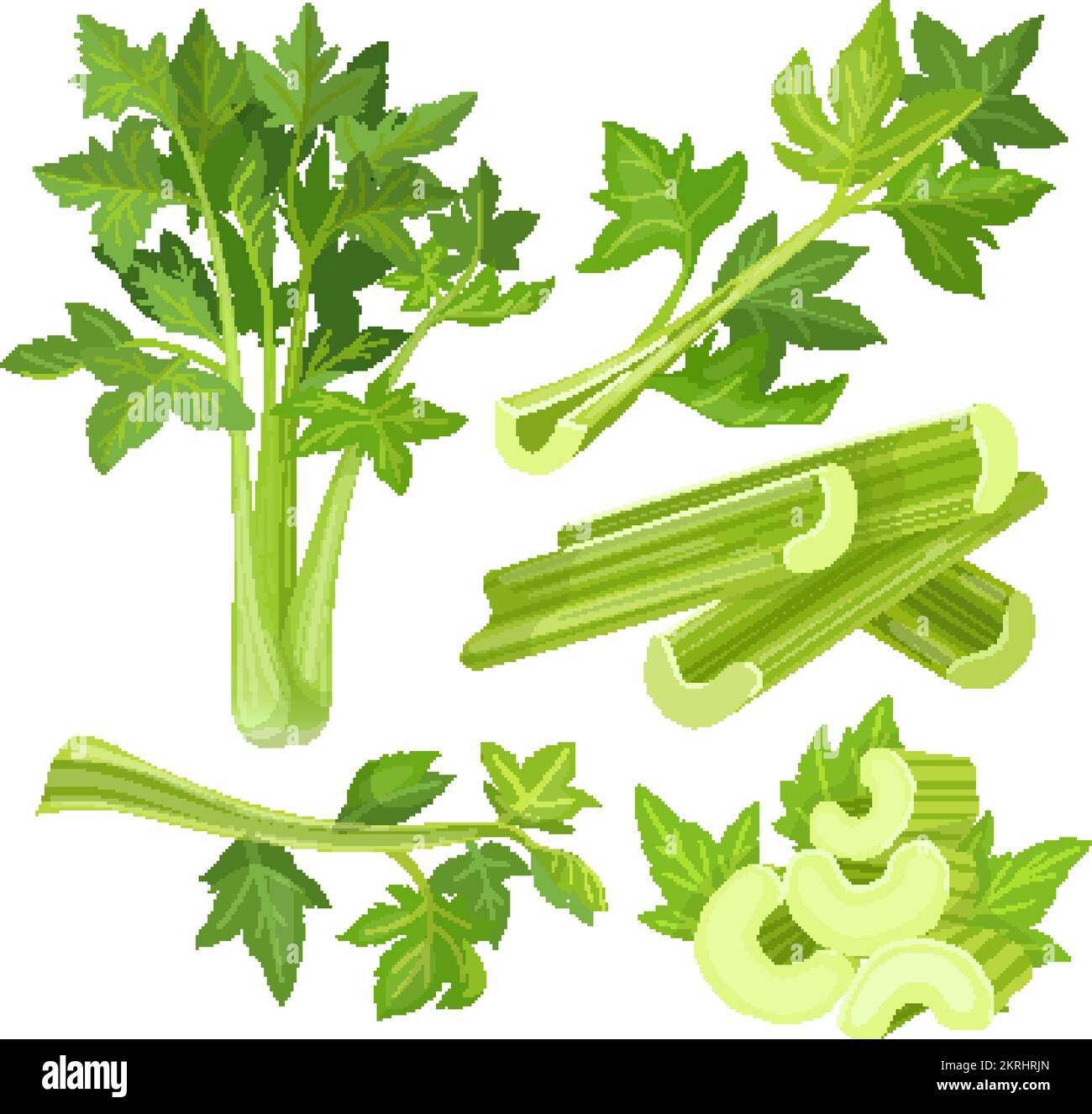 celery vegetable food set cartoon vector illustration Stock Vector