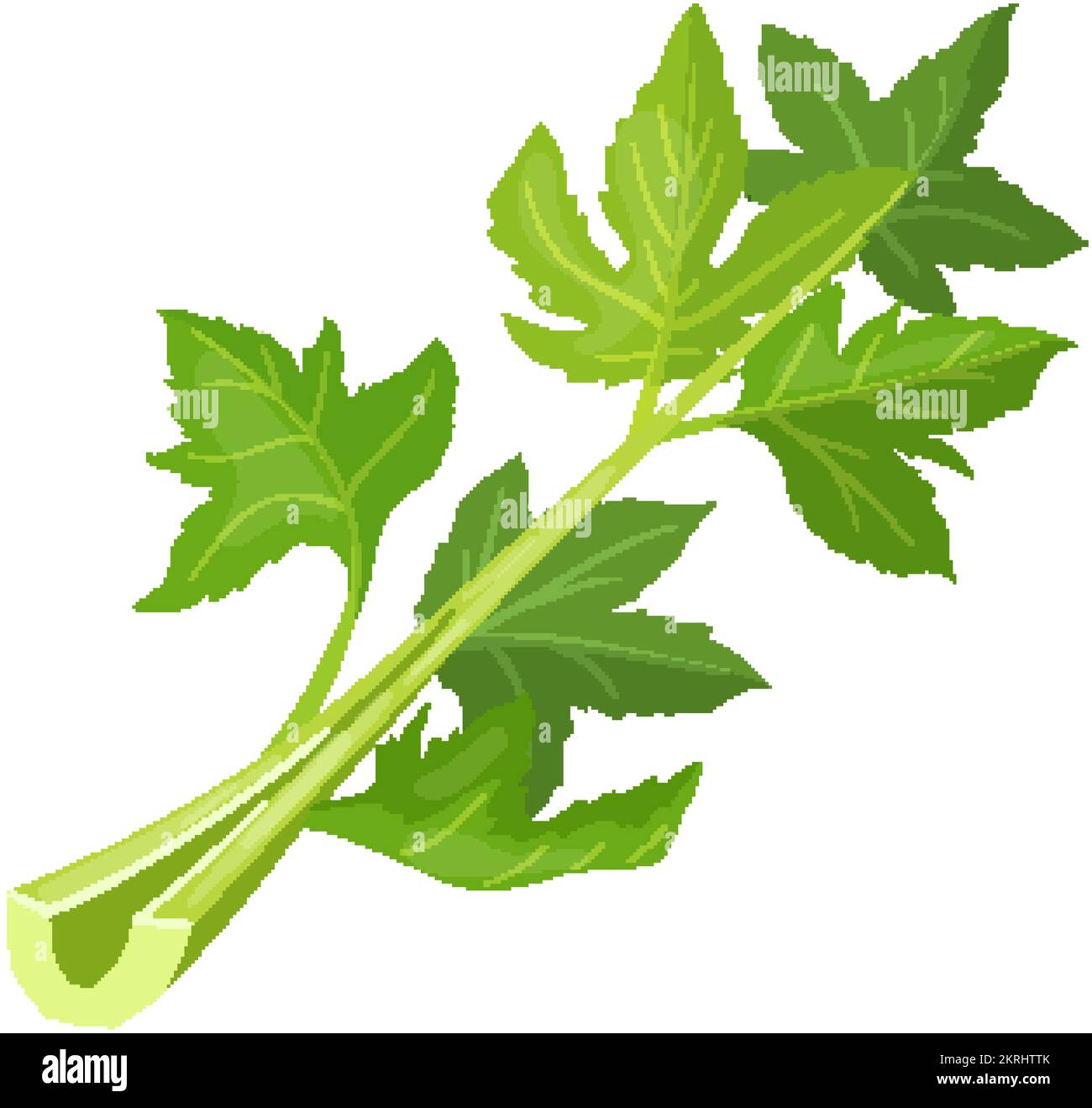 celery fresh cartoon vector illustration Stock Vector Image & Art Alamy
