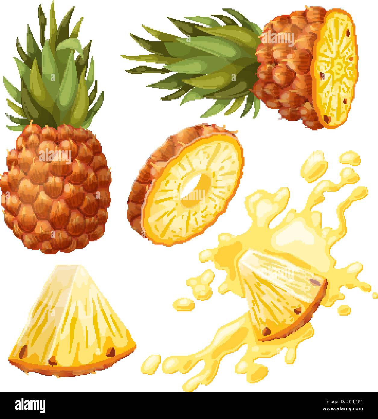 pineapple fruit set cartoon vector illustration Stock Vector Image ...
