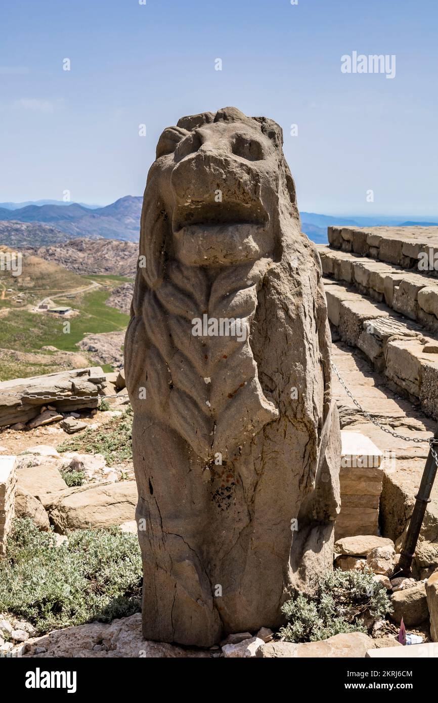 Mount Nemrut, Nemrut Dagi, east terrace, Lion statues, Commagene kingdom, Kahta, Adıyaman province, Turkey, Asia Stock Photo