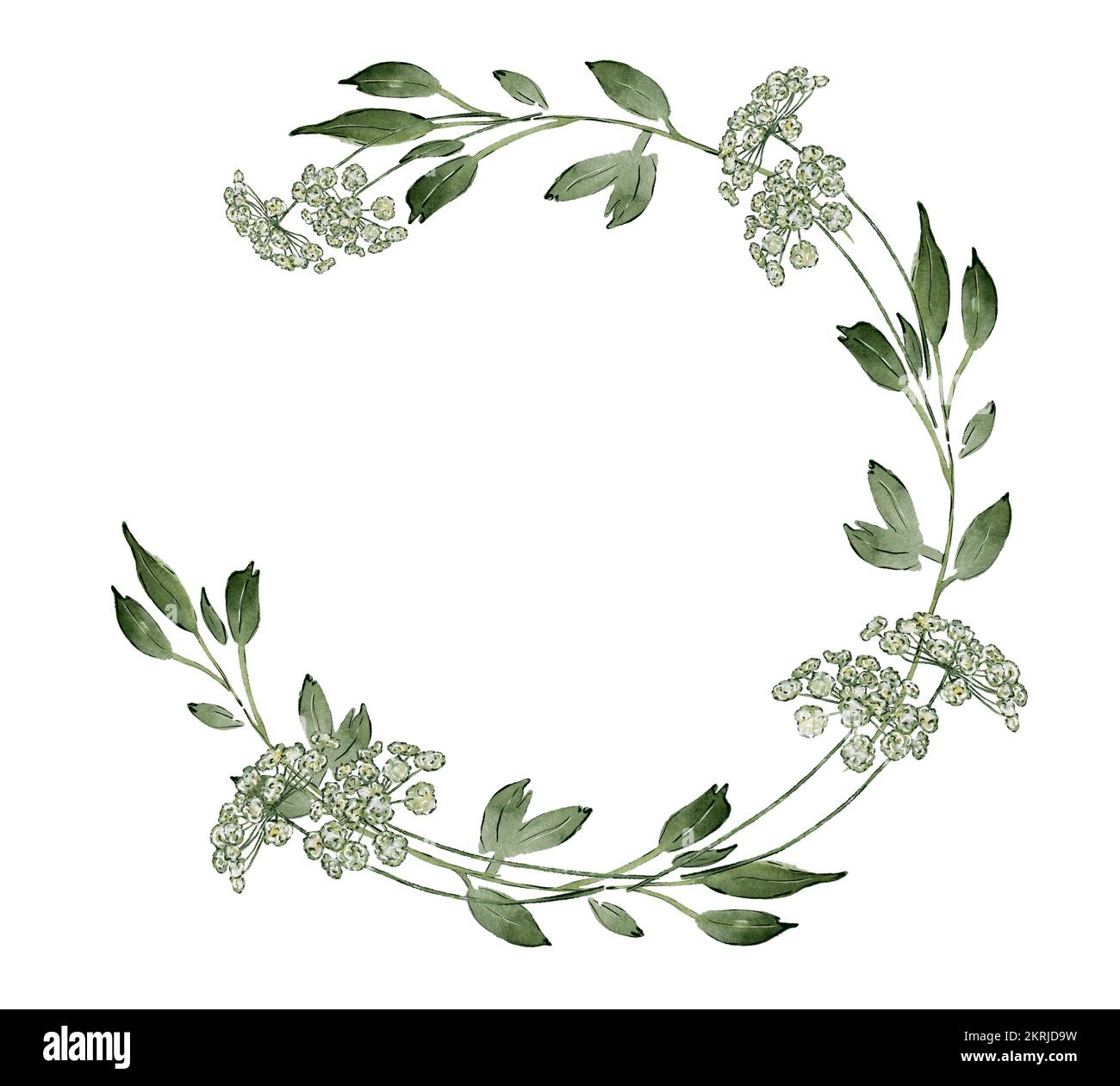Floral wreath of green branches and leaves. Floral Design elements ...