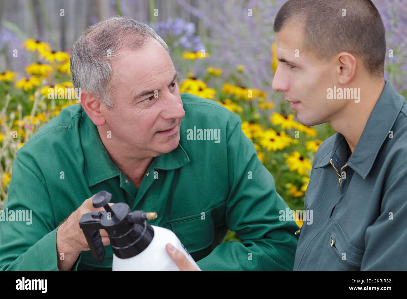 spring works in the garden Stock Photo - Alamy