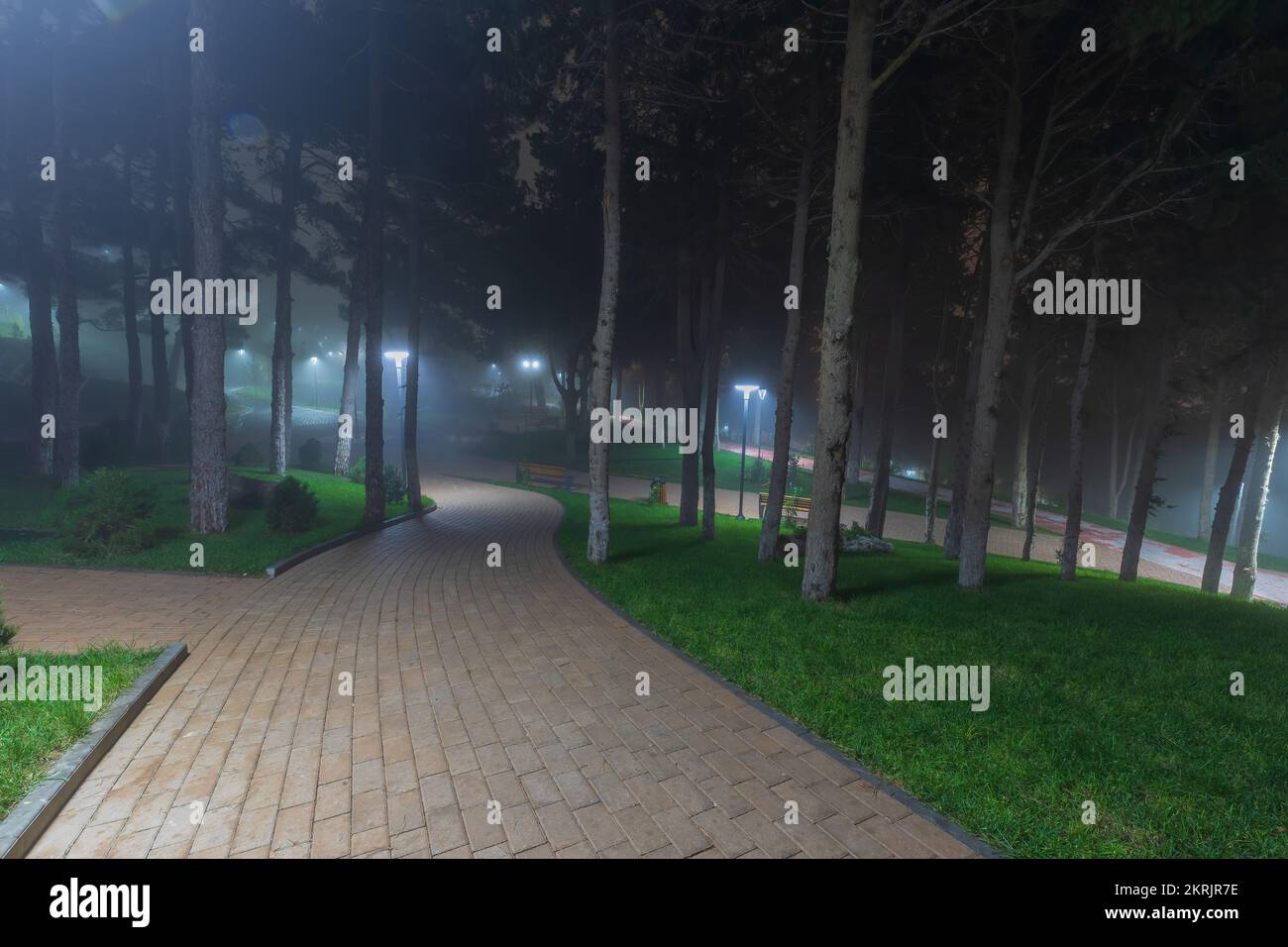Foggy night scene trees bench hi-res stock photography and images - Alamy