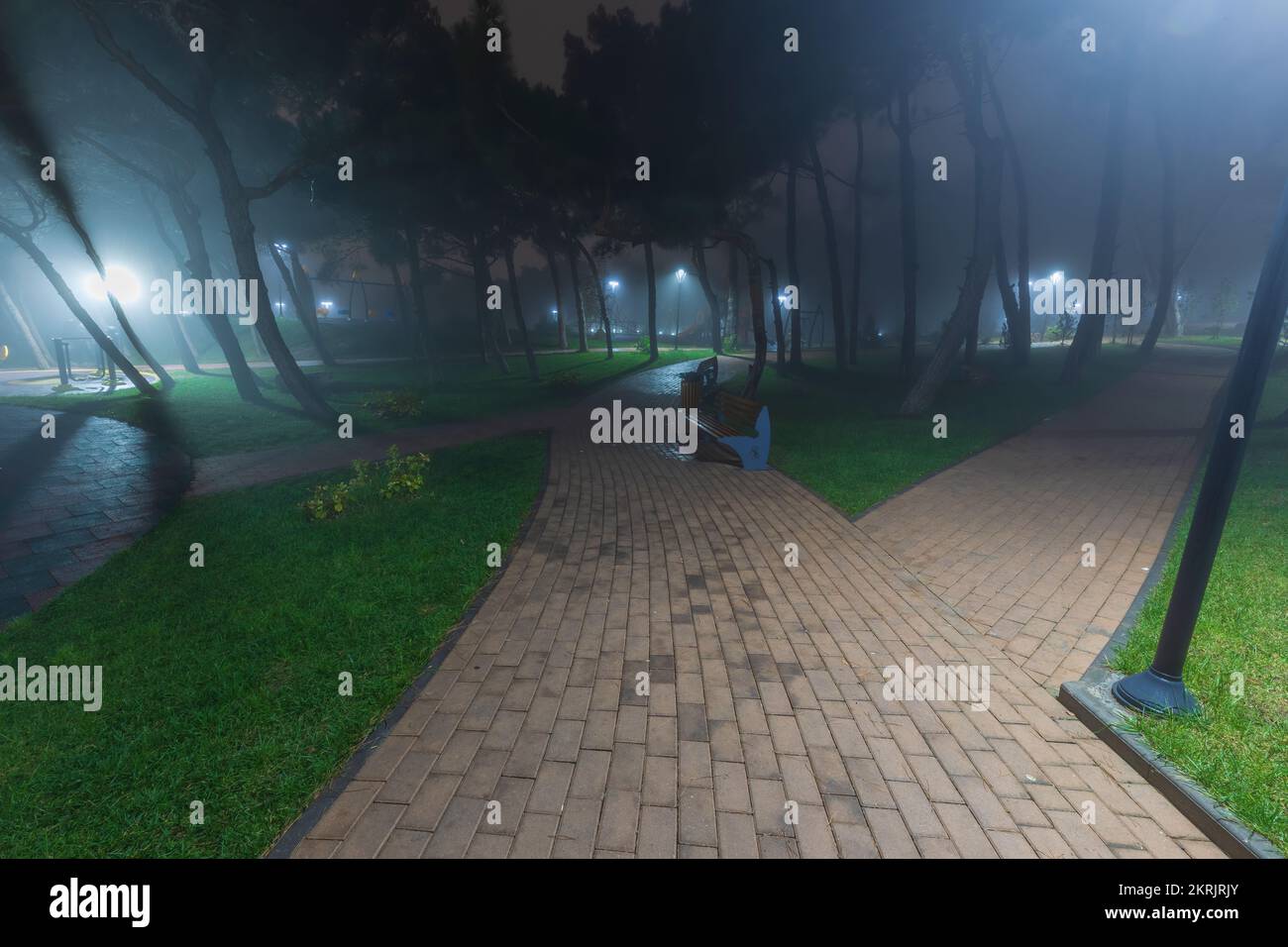 Foggy night scene trees bench hi-res stock photography and images - Alamy