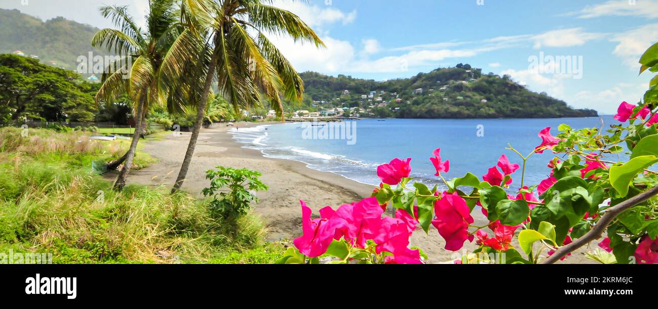 View of a deserted beach in the Grenadine Islands, Caribbean. Stock Photo