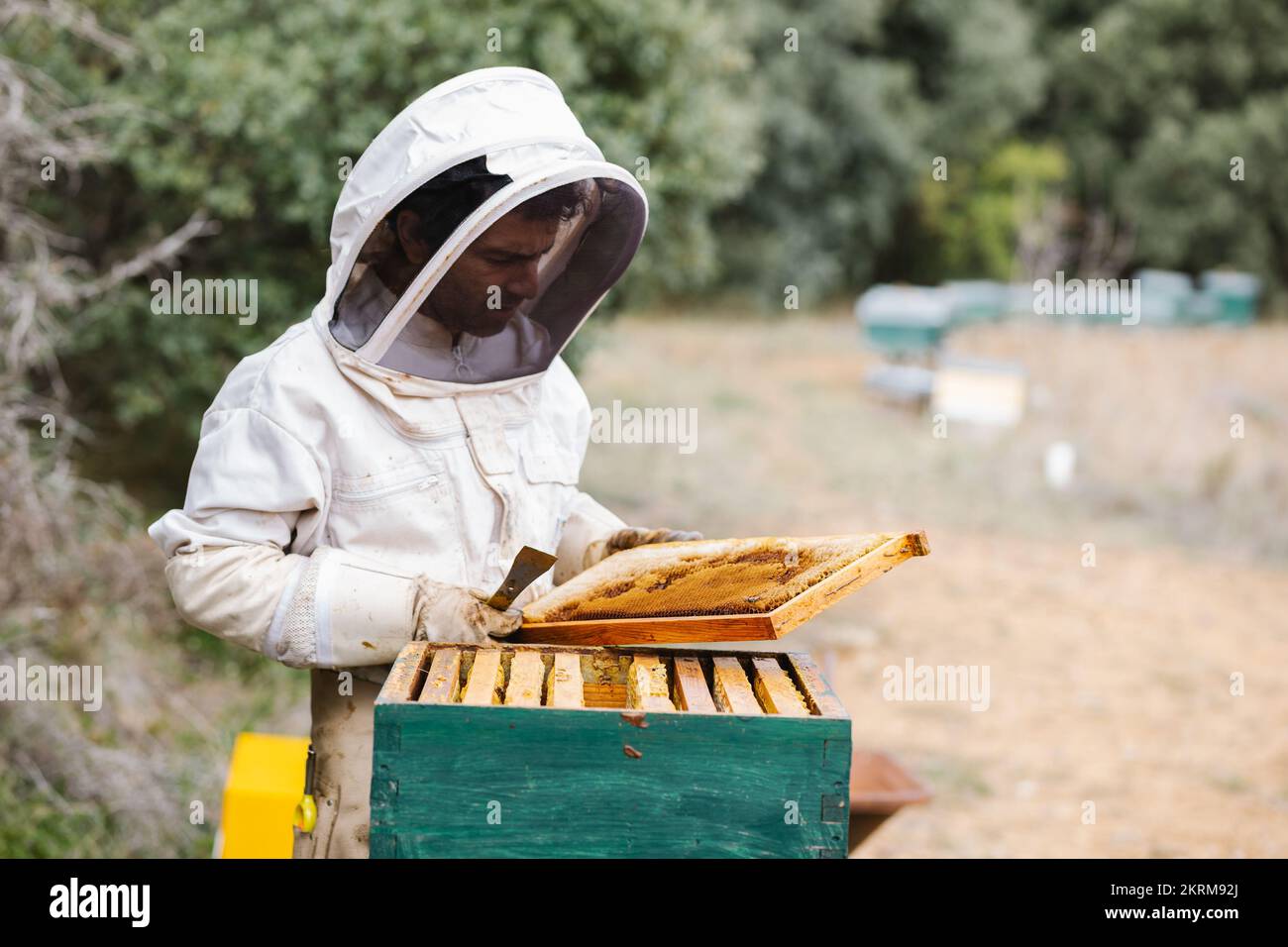 Big Branch Apiary