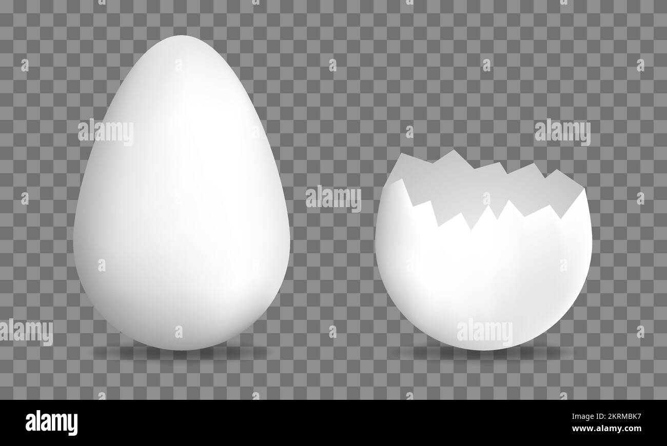 Realistic 3d eggs. Large egg and cracked egg. Vector illustration isolated on transparent background Stock Vector