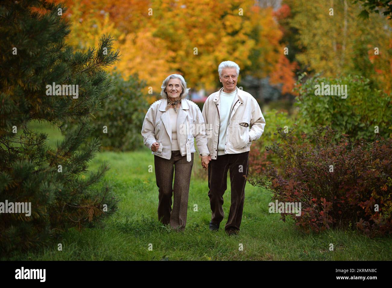 Elderly couple in the park in autumn. In full growth Stock Photo - Alamy