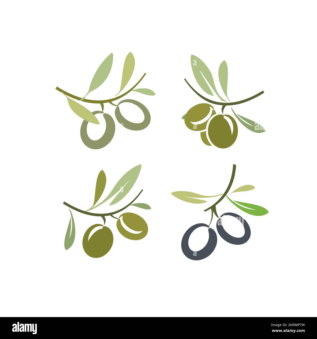 olives on the branch. olives oil Stock Vector