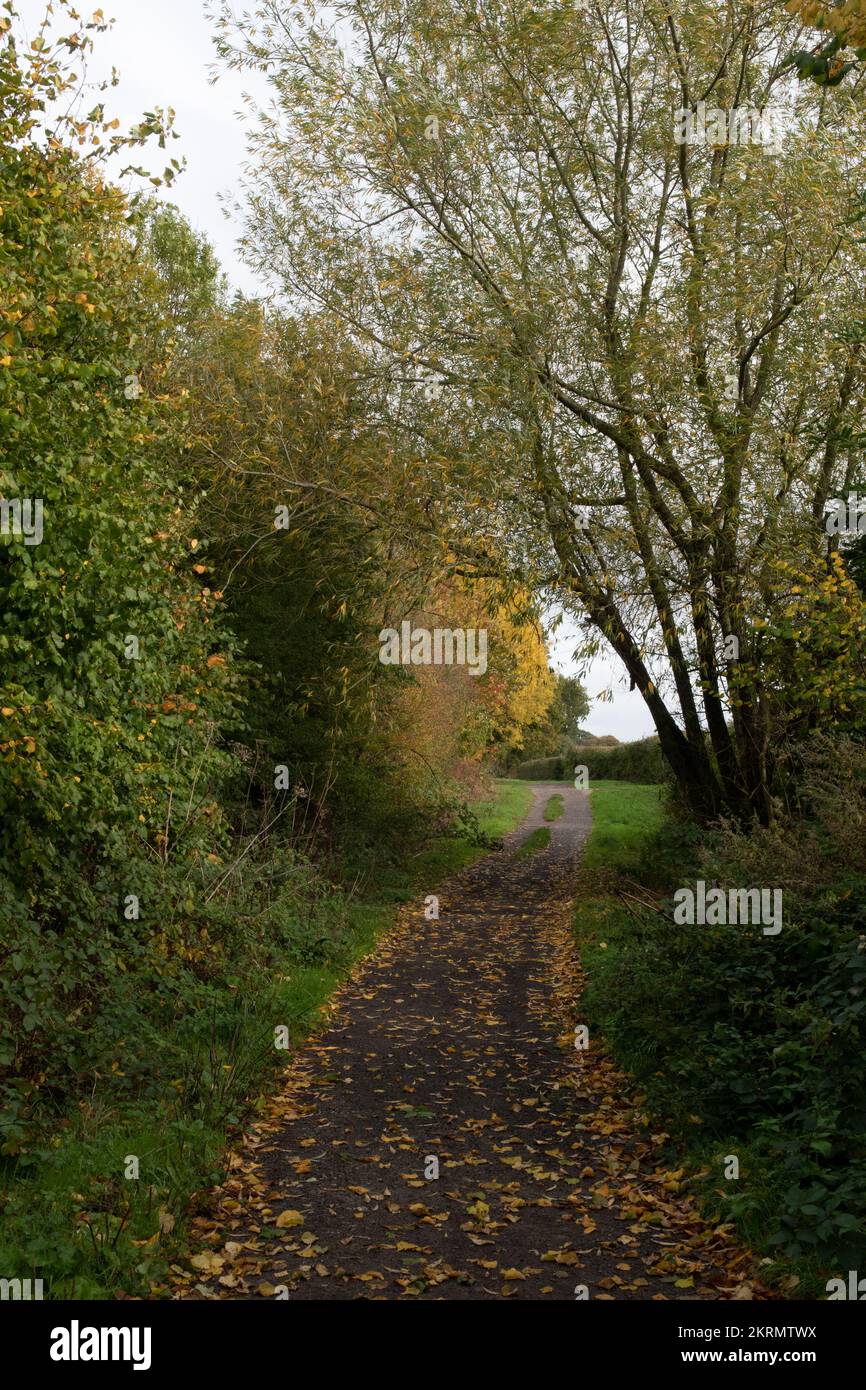The old drove road hi-res stock photography and images - Alamy