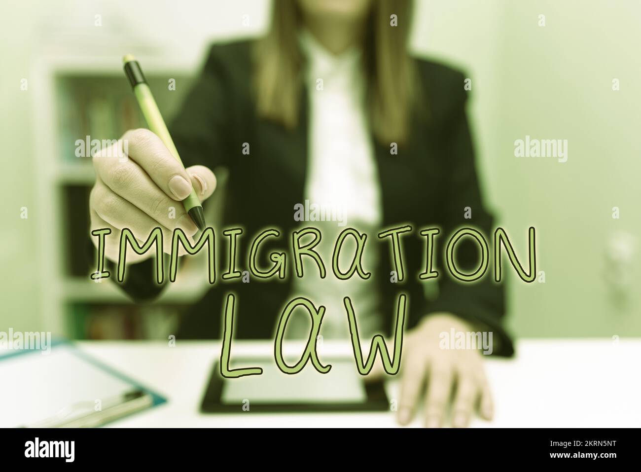 Text sign showing Immigration Law, Word Written on national statutes