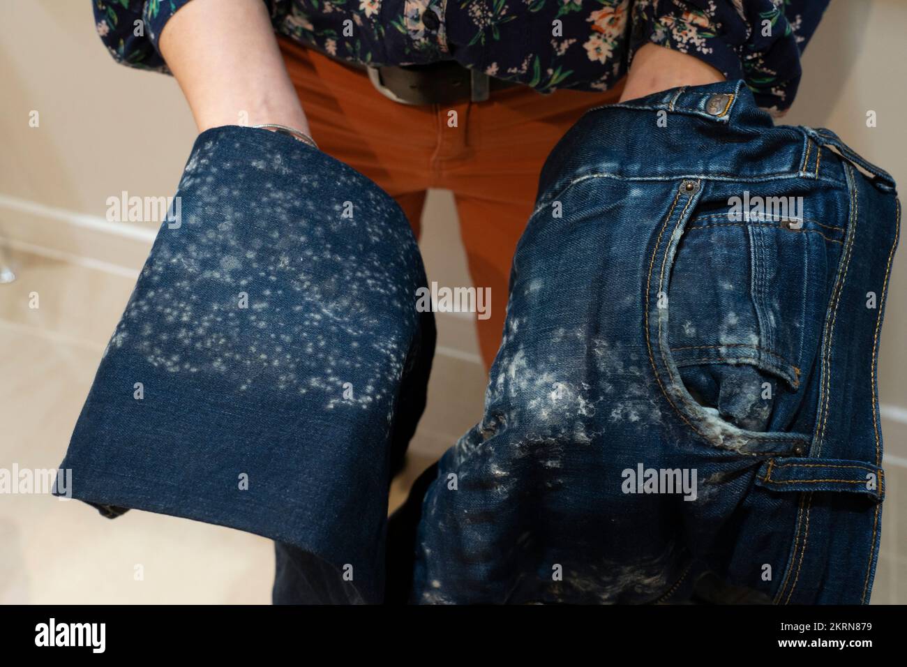 Woman holding a pair of jeans with white mould growing on them due to damp and condensation. Concept: rental problems in a UK flat, poor ventilation, Stock Photo