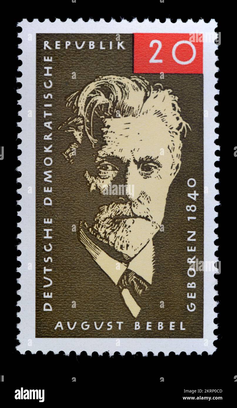 Democratic Party Leader