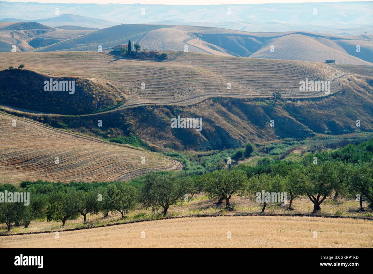 Landscape around Irsina, Matera province, Basilicata region, Italy Stock Photo
