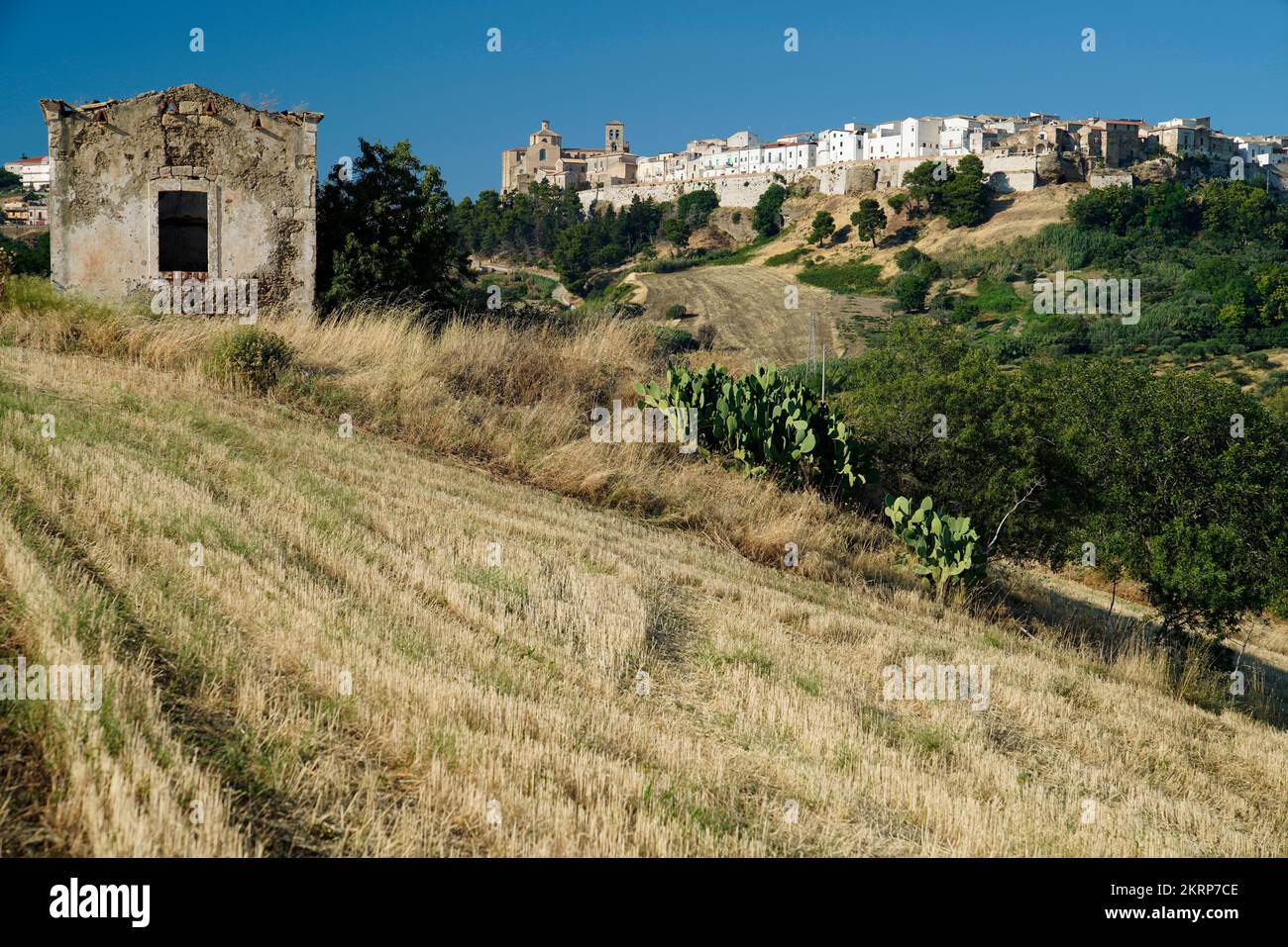 View of Irsina,Landscape around Irsina,Province of Matera,Region of Basilicata,Italy Stock Photo