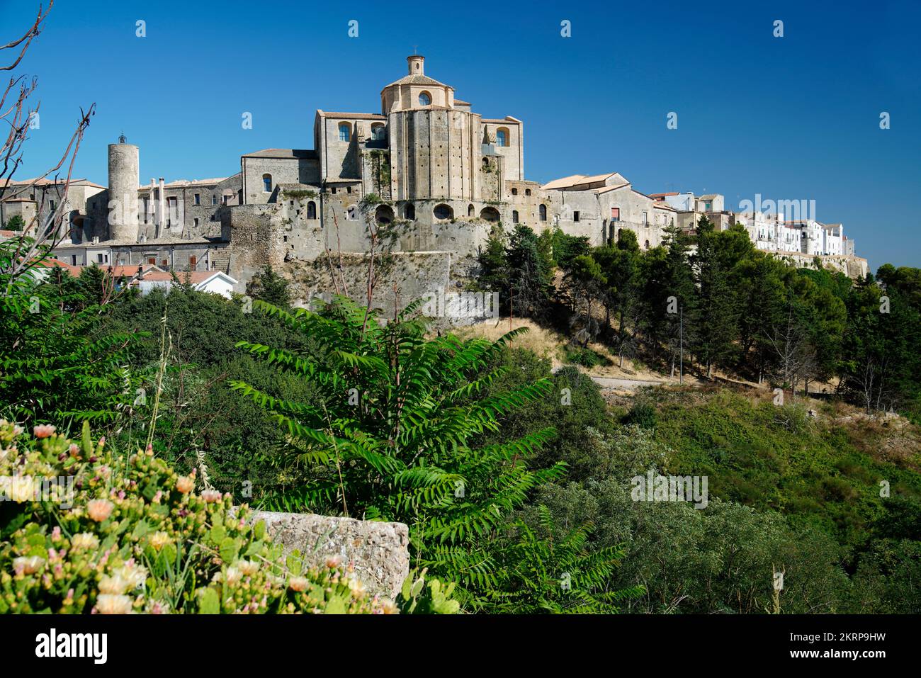 View of Irsina,Landscape around Irsina,Province of Matera,Region of Basilicata,Italy Stock Photo