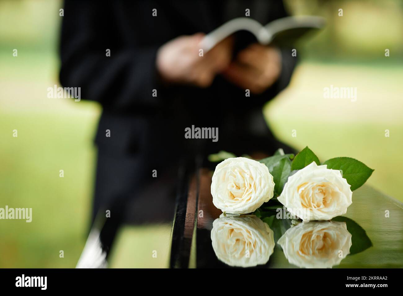 Closeup of two white roses on coffin at outdoor funeral ceremony, copy space Stock Photo Alamy