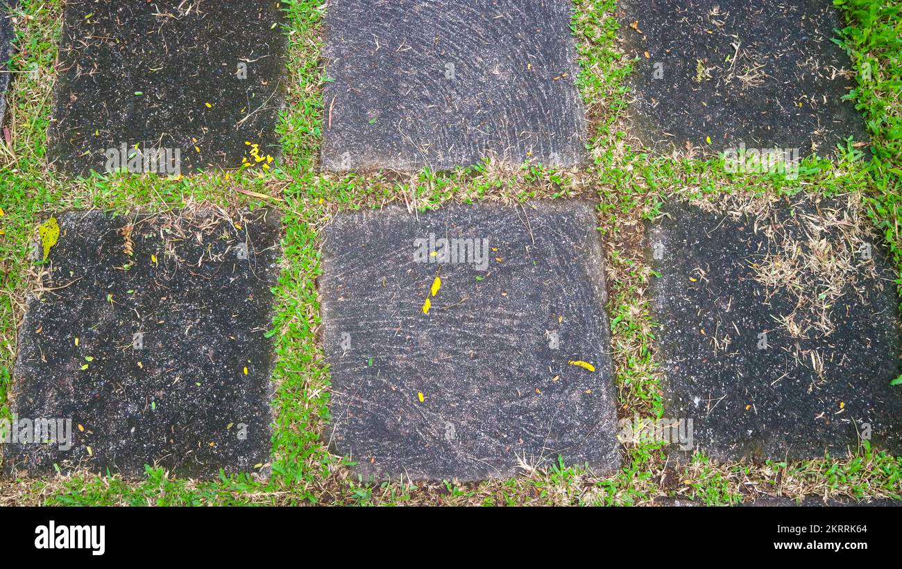 concrete block road with green grass in between. as background Stock