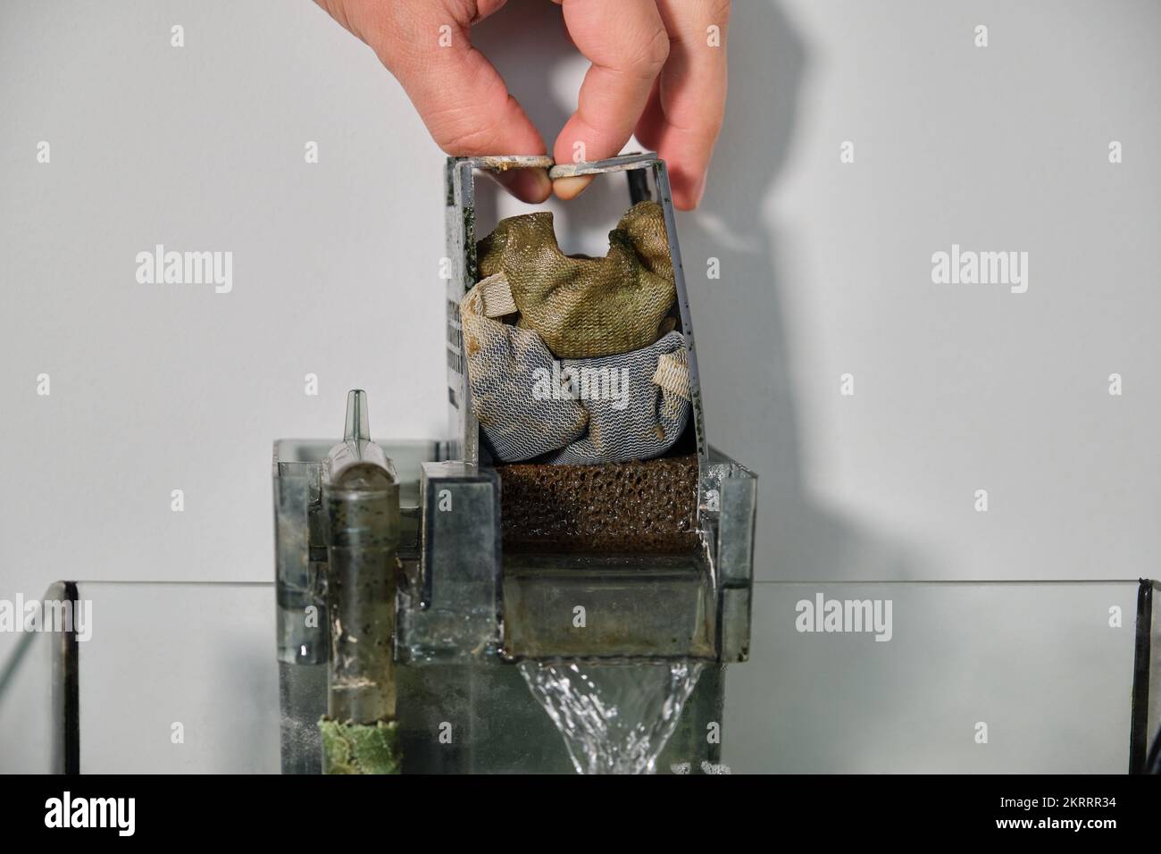 Close up of a hand disassembling a fish tank waterfall filter to clean