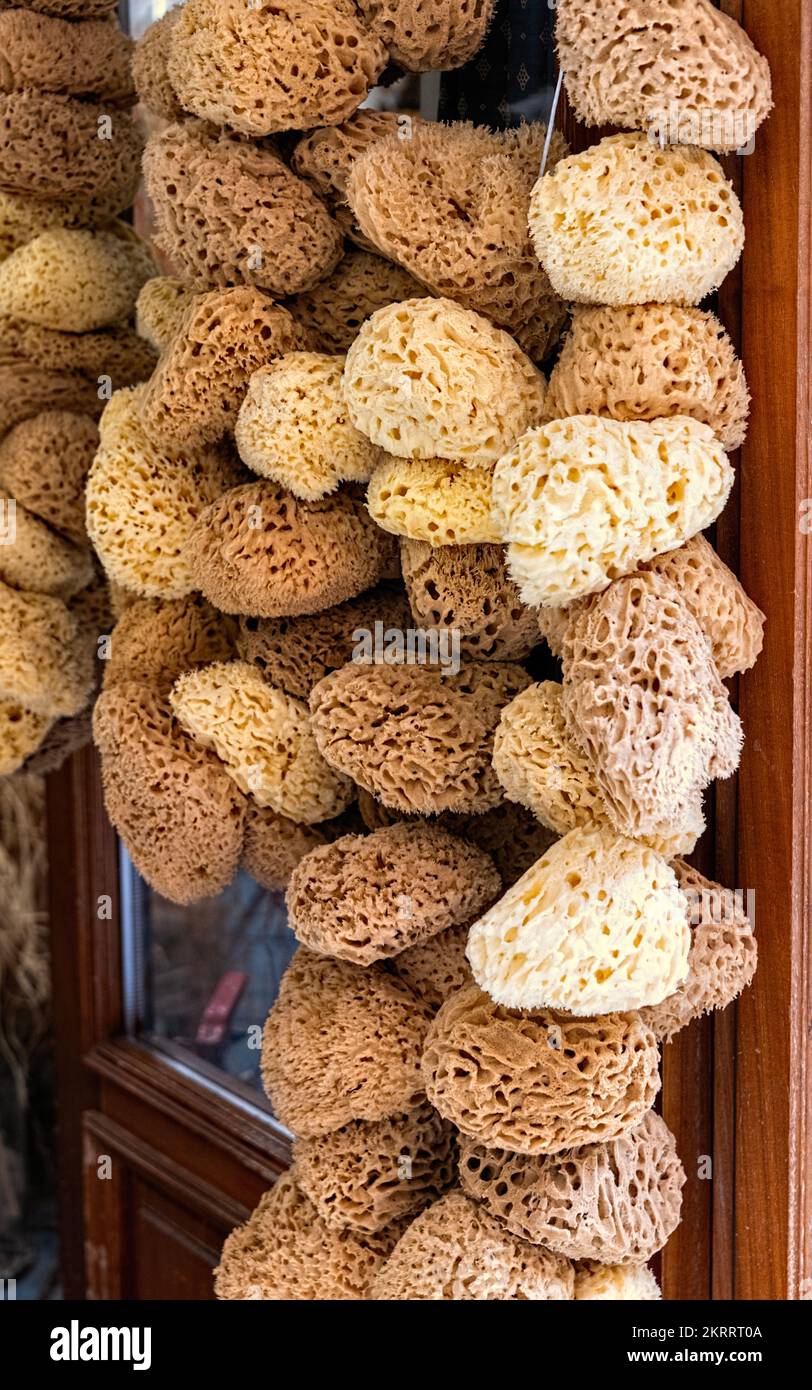 Close up of selection of natural sponges on sale outside shop in Corfu Old Town, Greece Stock Photo