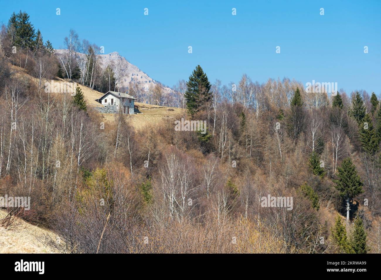 winter wood, ono san pietro, italy Stock Photo Alamy