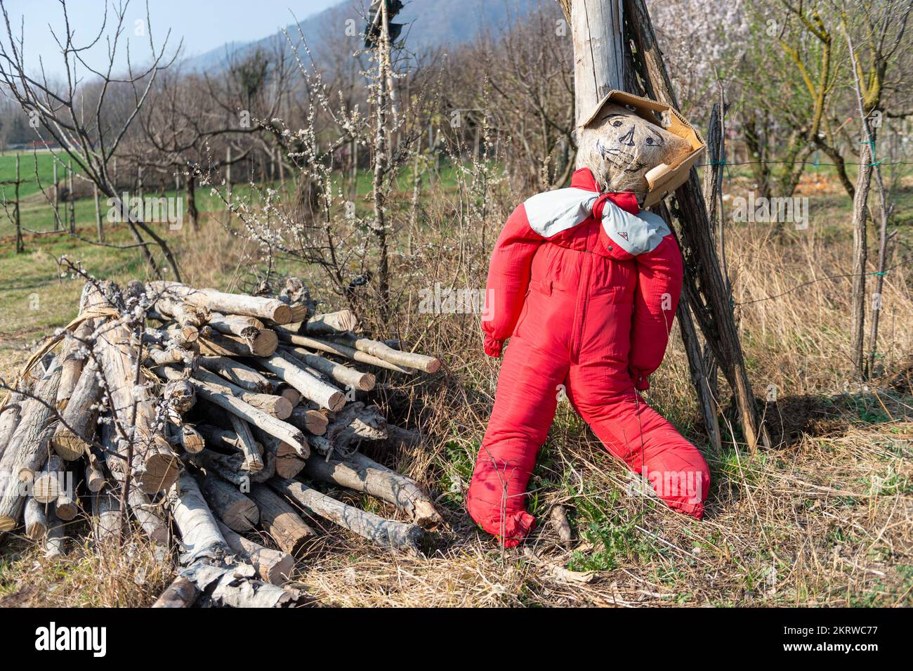 Ono san pietro hires stock photography and images Alamy