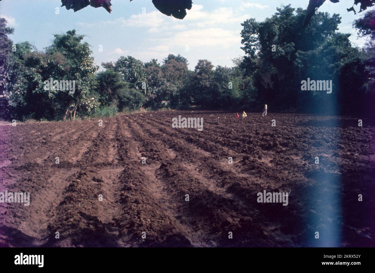 In agriculture, a field is an area of land, enclosed or otherwise, used