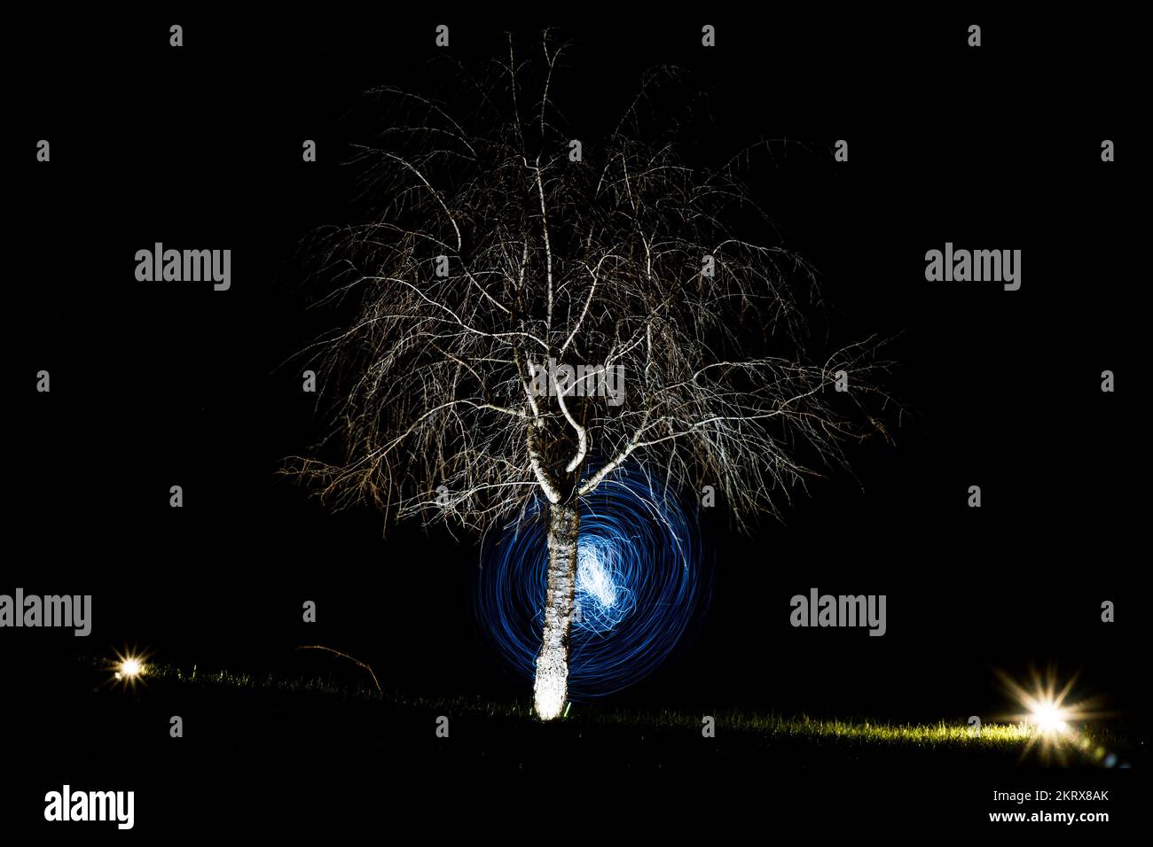 Night scene with artificial lighting on tree and spiraling light streaks in background Stock Photo