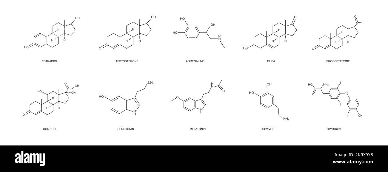 Different hormons icons set. Estradiol, progesterone, testosterone, adrenaline, DHEA, cortizol, dopamine, serotonin, melatonin, thyroxine chemical molecular structure. Vector outline illustration Stock Vector